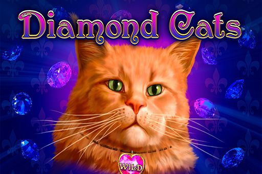 Diamond Cats